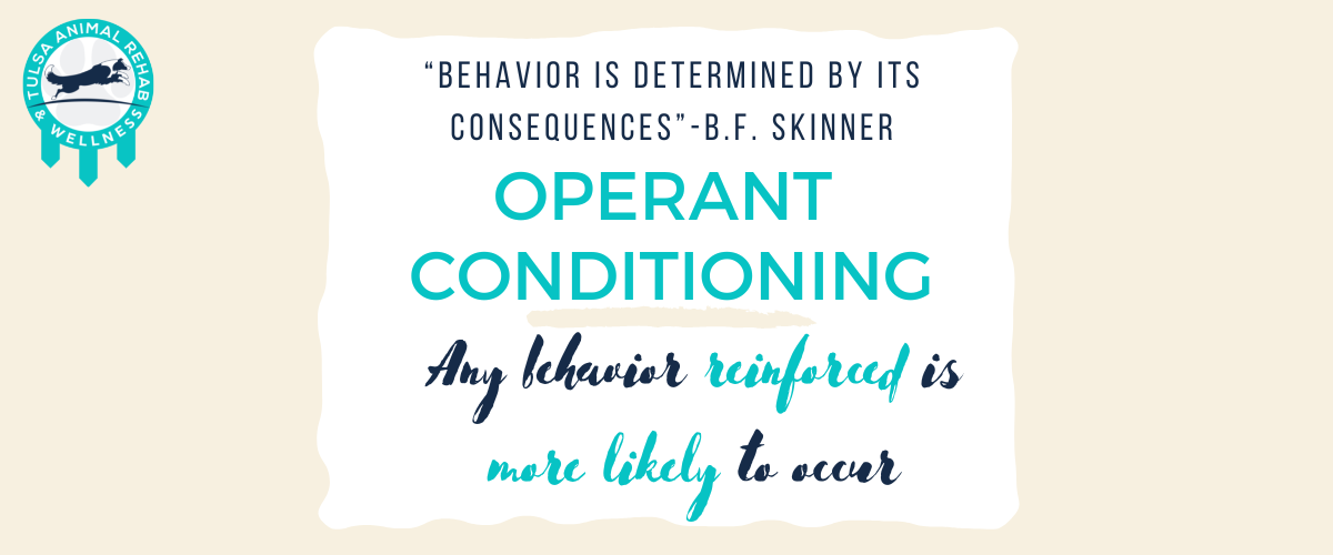 How Animals Learn Part 2 Operant Conditioning Tulsa Animal Rehab
